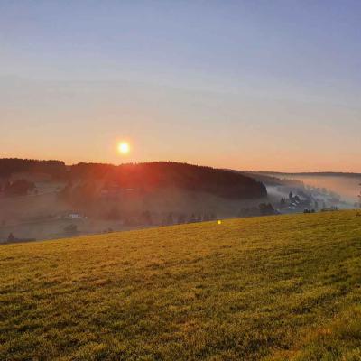 Schwarzwaldblick
