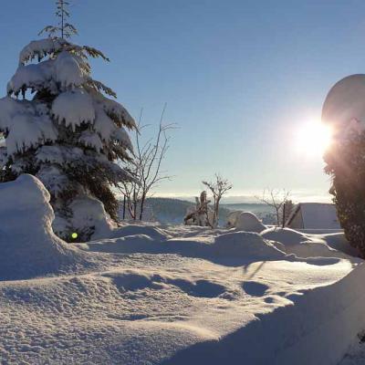 Winter Im Schwarzwald 51