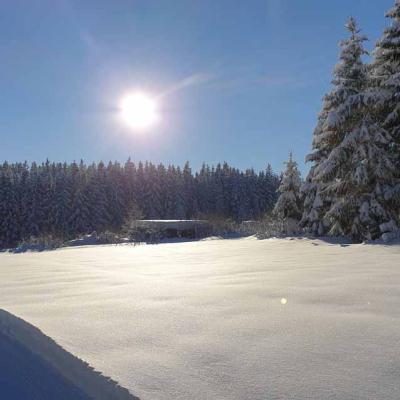 Winter Im Schwarzwald 91
